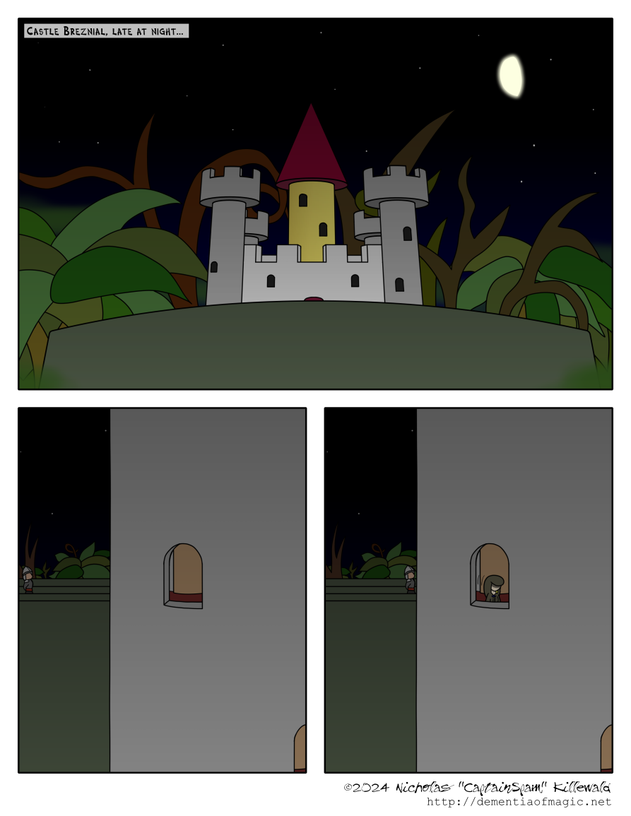 A short narrative line reintroduces us to Castle Breznial, late at night.  We see the castle's towers rising above its imposing featureless walls as the irregular vegetation of the swamp sits silently behind it.

A close-up shot of a tower.  A guard patrols atop the outer wall.  Through a window in the tower, we see a hooded figure walk by.  The guard does not notice.